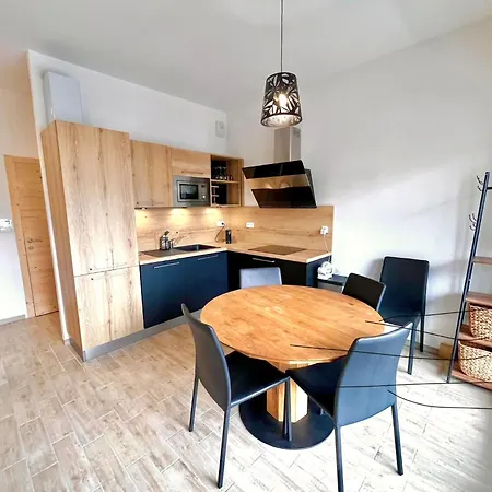 Apartment De 31m² Idealement Situe Aux Pieds Des Remontees Mecaniques Ete/hiver