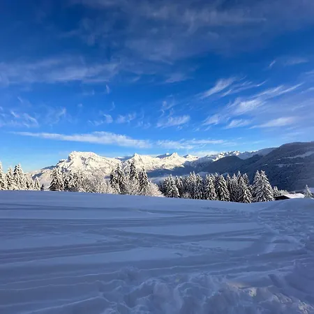 De 31m² Idealement Situe Aux Pieds Des Remontees Mecaniques Ete/hiver * Saint-Gervais-les-Bains